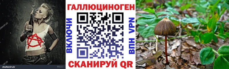 Купить закладки  Дрезна  Галлюциногенные грибы Cubensis 